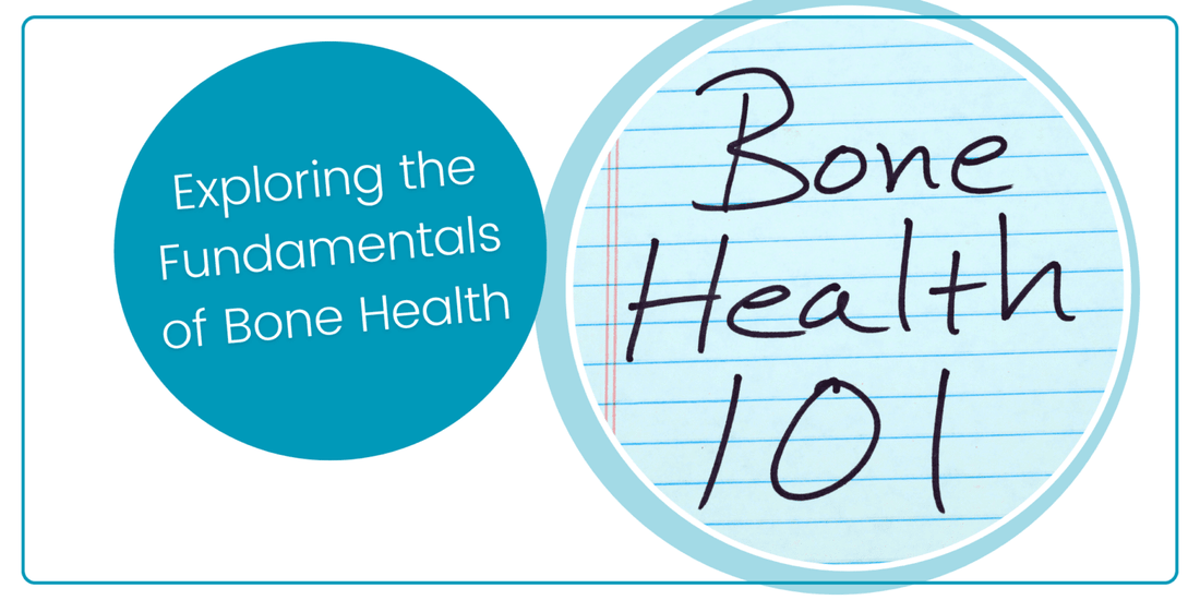 Exploring The Fundamentals Of Bone Health