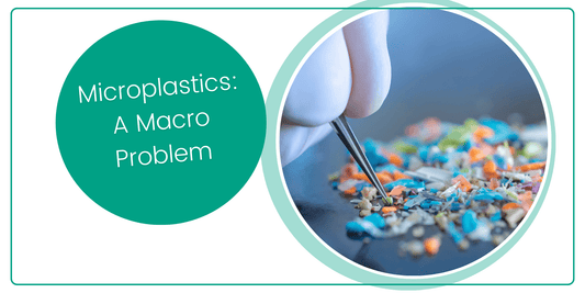 Microplastics: A Macro Problem