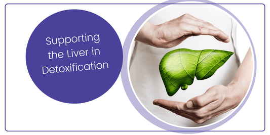 Supporting the Liver in Detoxification