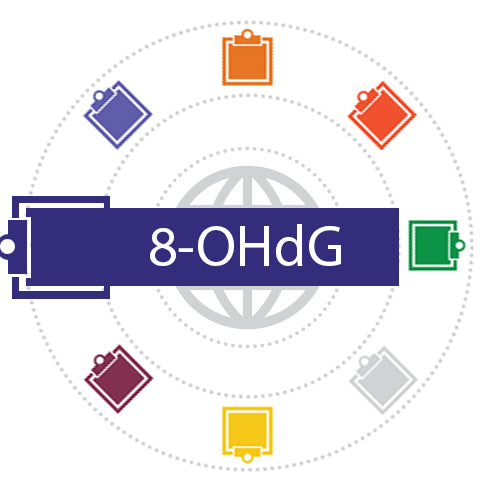 DNA Oxidative Stress/Damage Assay (8-OHdG)