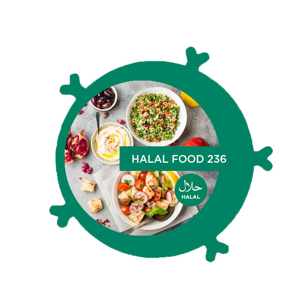 Halal Food Block 236