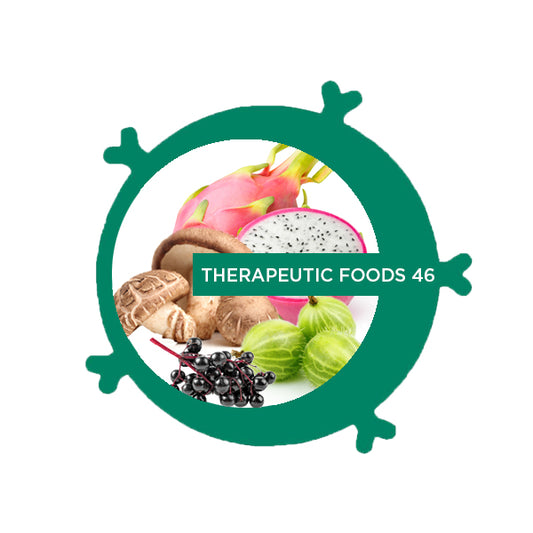 Therapeutic Foods 46