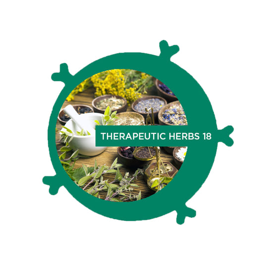 Therapeutic Herbs 18