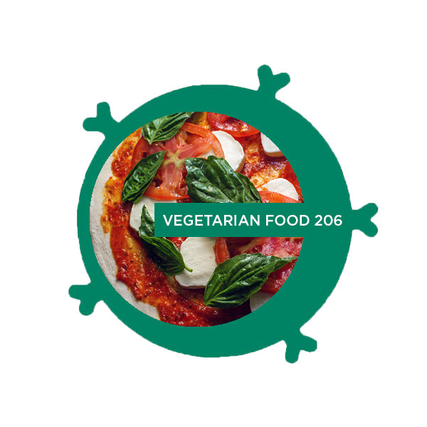 Vegetarian Food Block 206